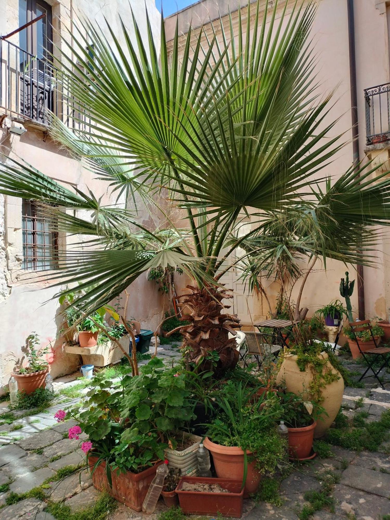 Casa La Palma Di Ortigia Apartamento Syracuse Exterior foto